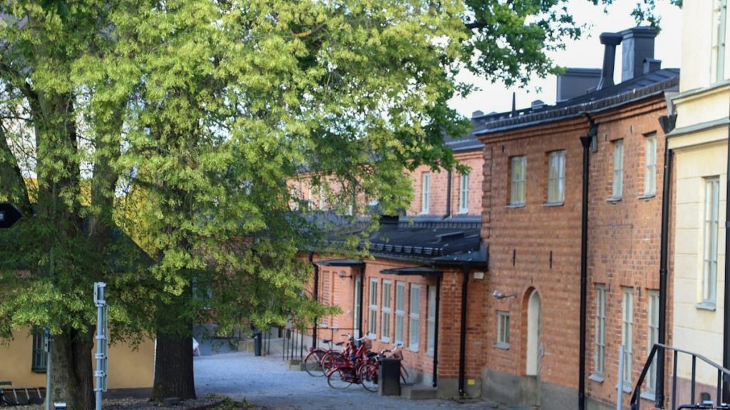 Buildings and a tree line a quiet street.