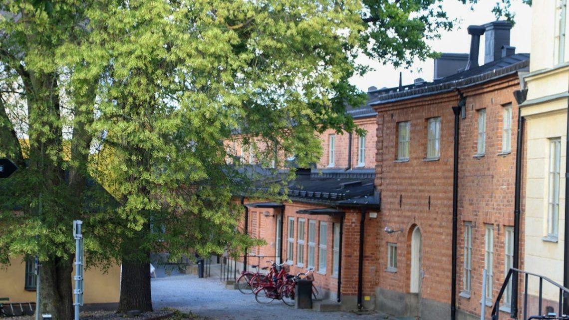 Buildings and a tree line a quiet street.